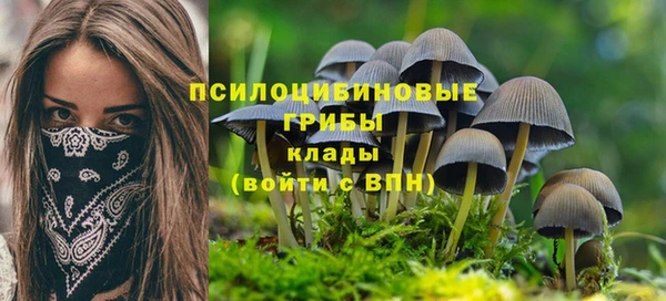 apvp Лагань