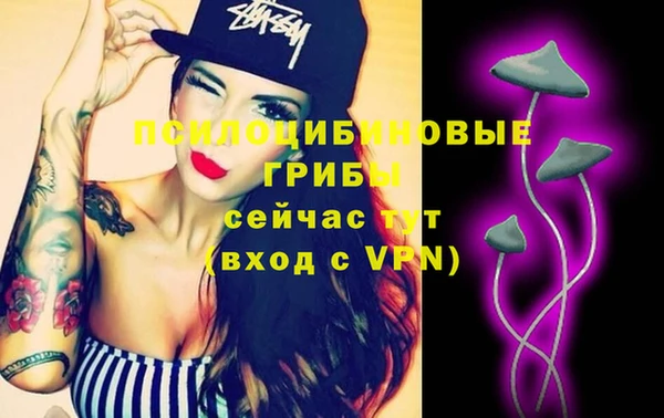 мдпв Лабытнанги