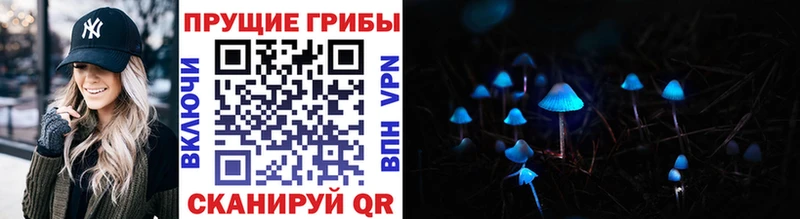 купить   Цимлянск  Псилоцибиновые грибы мухоморы 